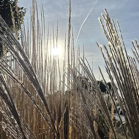 شقة Neu Apartmenthaus-usedom Famstopp 